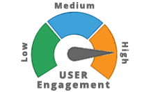 Website User Engagement