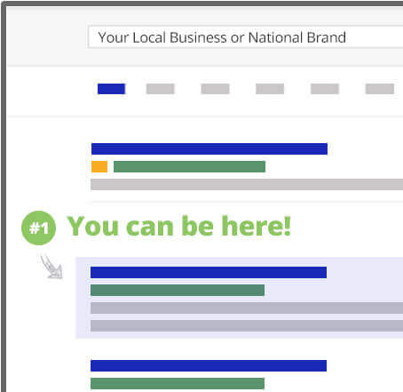 Organic search engine page ranking